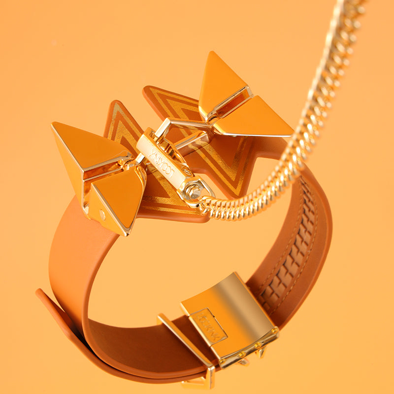 Lockink Posture Collar