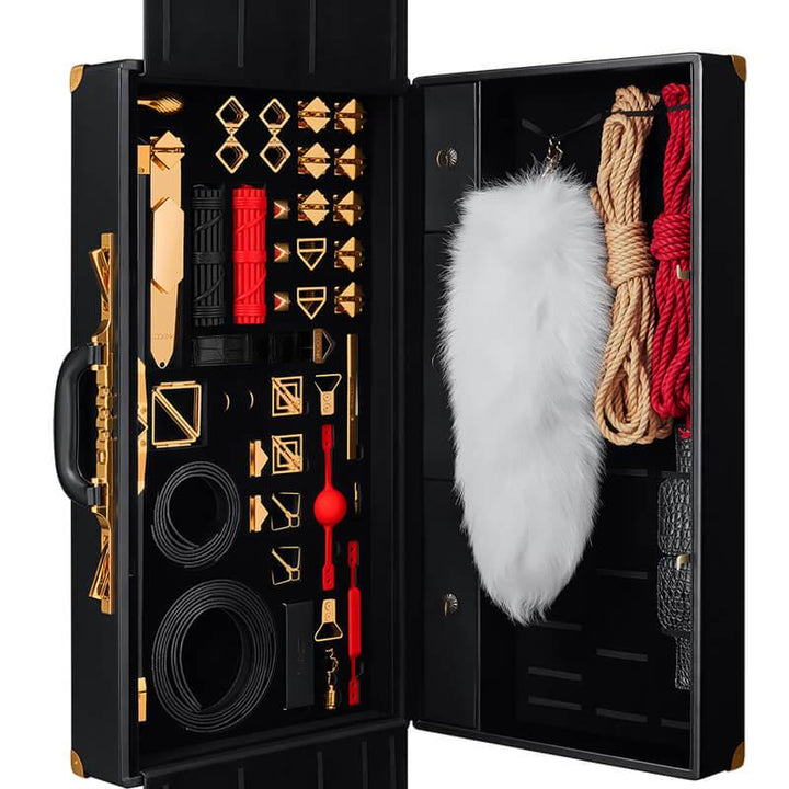 LOCKINK All-in-1 BDSM Play Kit - Delightor