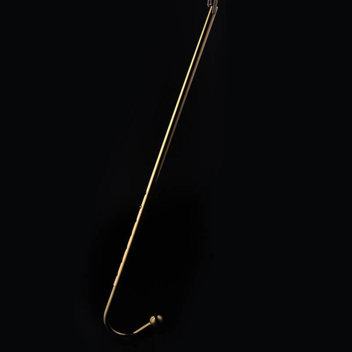 Lockink Adjustable Gold Anal Hook With Collar Connector Lockinks